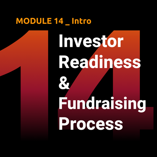 M14 — Investor Readiness & Fundraising Process