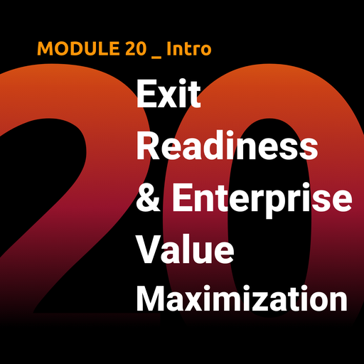 M20 — Exit Readiness & Enterprise Value Maximization